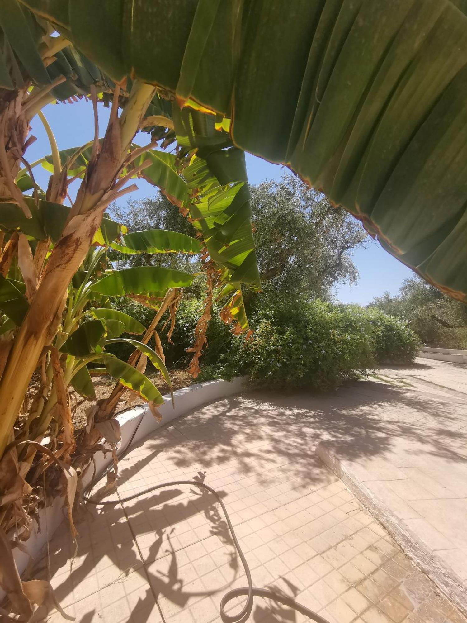 Hotel Lofos Strani Zakynthos Exterior foto
