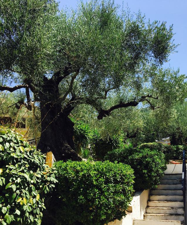 Hotel Lofos Strani Zakynthos Exterior foto