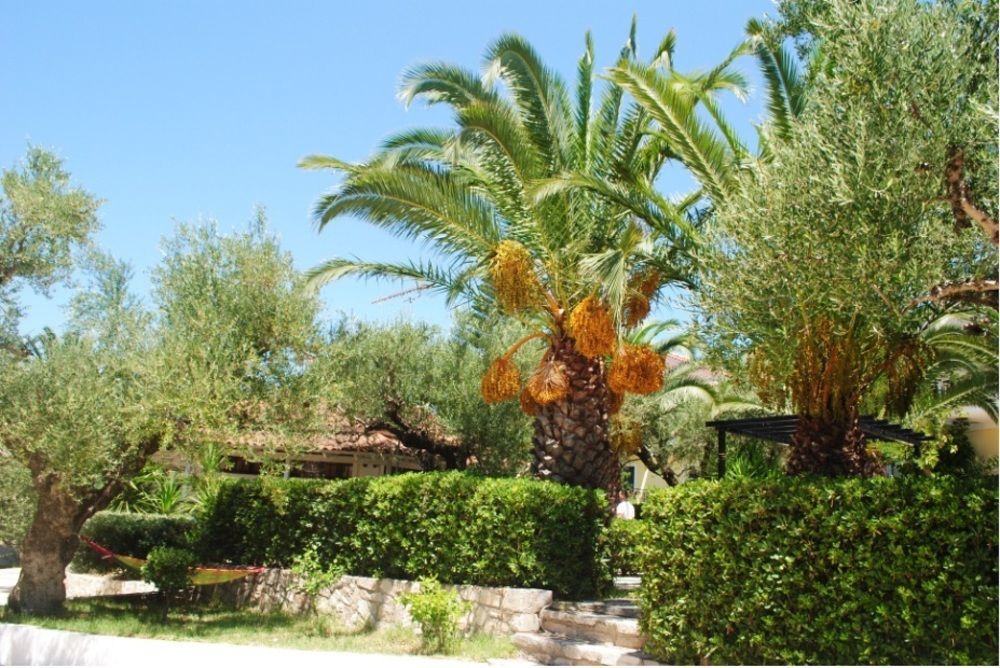 Hotel Lofos Strani Zakynthos Exterior foto